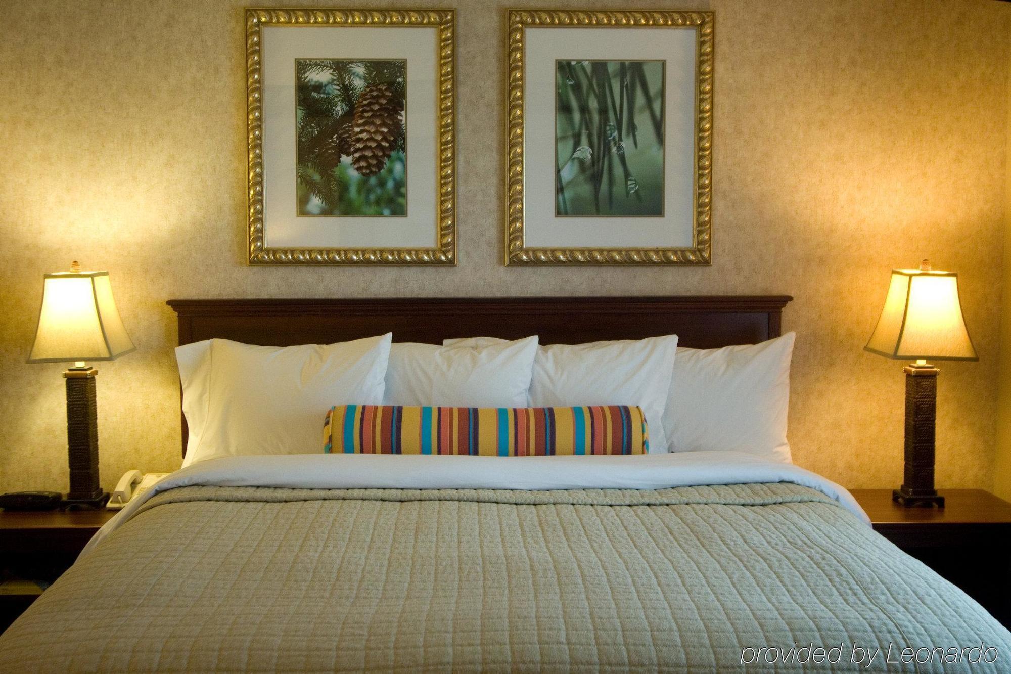 Phoenix Inn Suites Albany Rum bild
